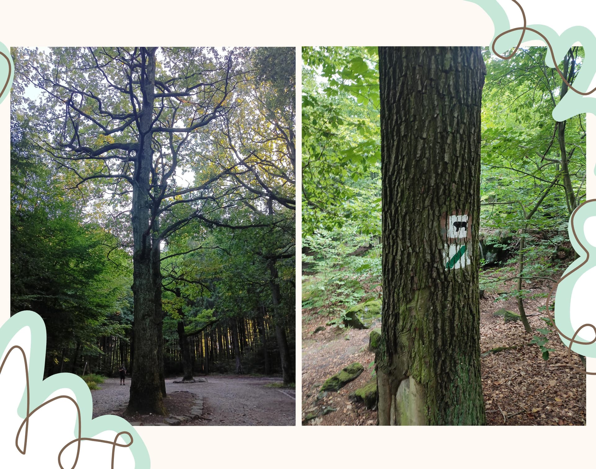 Zdjęcie nawiązujące do tytułu bloga w słodkim stylu