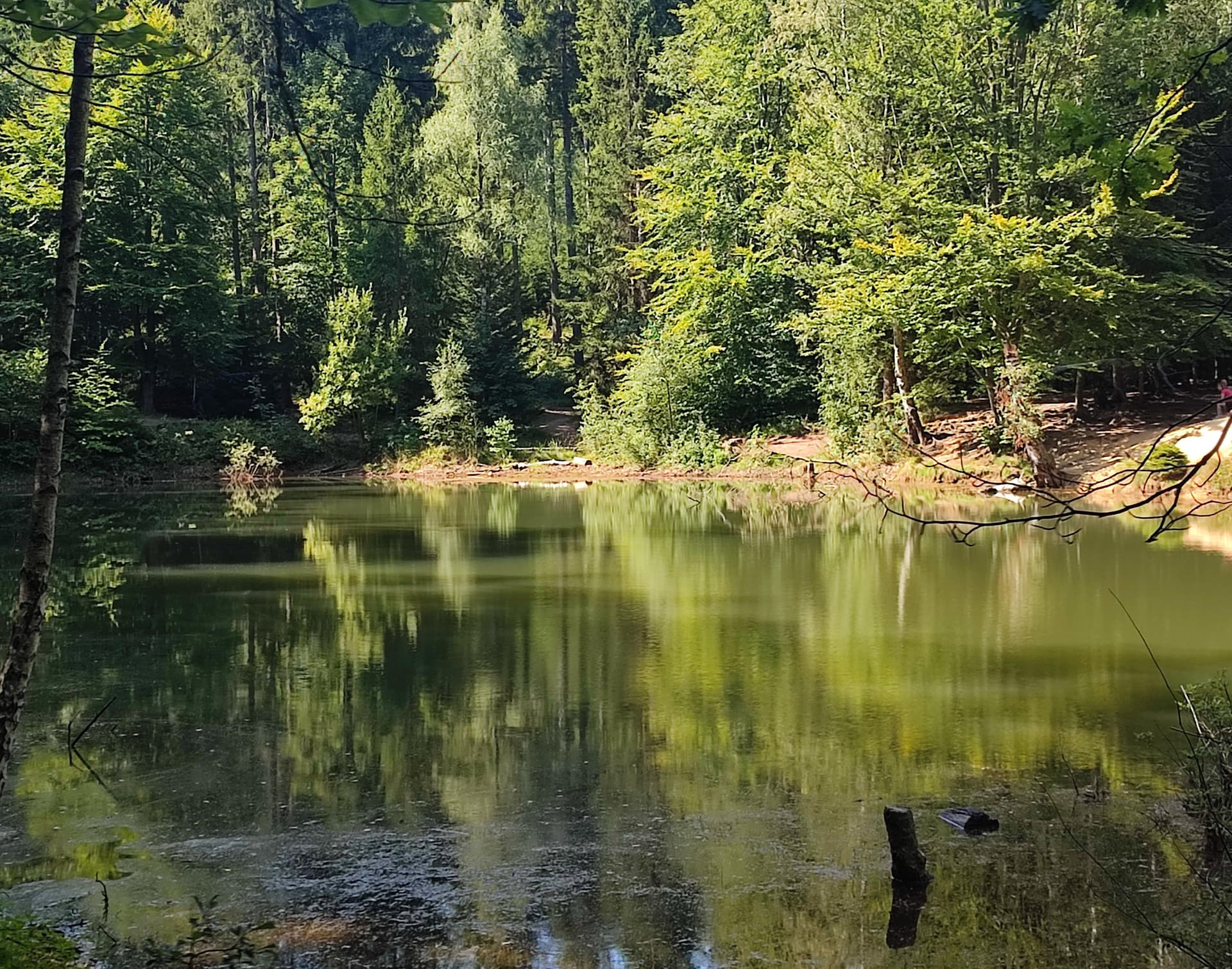 Zdjęcie nawiązujące do tytułu bloga w słodkim stylu