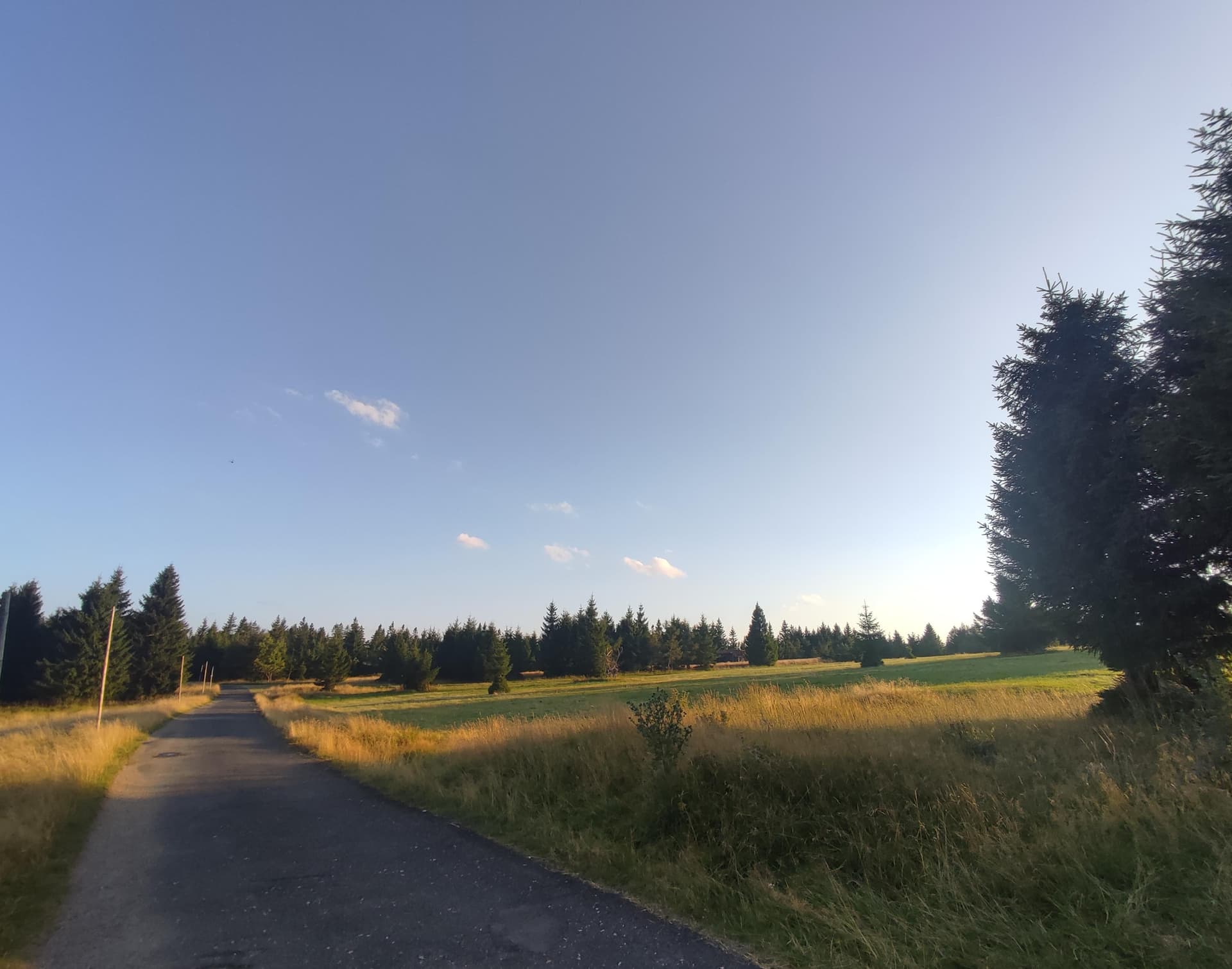 Zdjęcie nawiązujące do tytułu bloga w słodkim stylu